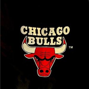 Chicago Bulls Nylon Bag